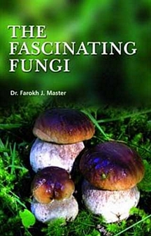 Fascinating Fungi