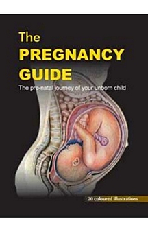 The Pregnancy Guide