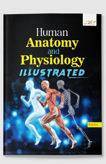 Human Anatomy and Physiology Illustrated