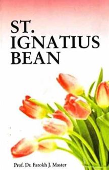 St. Ignatius Bean