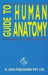 A Guide To Human Anatomy